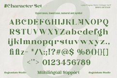 Lane Fiegras - Retro Serif Font Product Image 11