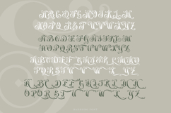 Badhong Classic Script Product Image 11