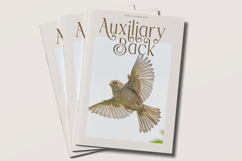 Fradesty - Luxury Serif Font Product Image 7