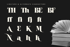 Aver Magera - Serif Font Product Image 12