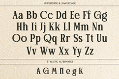 Stylish Serif - Patcher Product Image 8