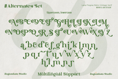 Lane Fiegras - Retro Serif Font Product Image 12