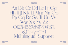 Bryn Vogue - Elegant Modern Serif Product Image 12