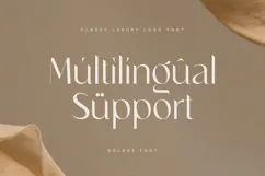Chicago - Classy Luxury Logo Font Product Image 12