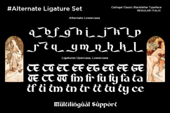 Catingal - Classic Blackletter Font Product Image 12