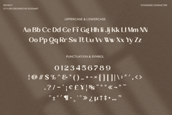 Bovacy - Modern Elegant Serif Product Image 11