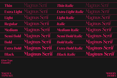 Magnus Serif Product Image 13
