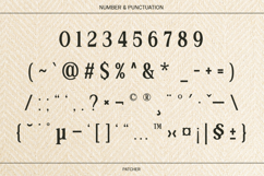 Stylish Serif - Patcher Product Image 9