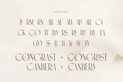 Forever With Love - Elegant Ligature Lovely Font Duo Product Image 13