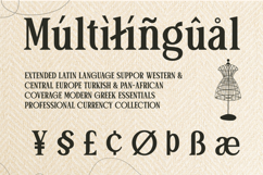 Stylish Serif - Patcher Product Image 10