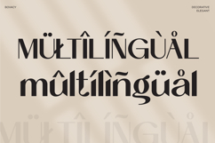 Bovacy - Modern Elegant Serif Product Image 12