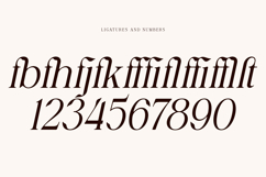 Avoxan Product Image 15