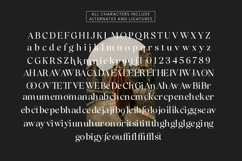 Blinkosta Product Image 15