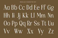 Fradesty - Luxury Serif Font Product Image 11