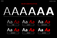 Saluna - Minimalist Sans Serif Product Image 14