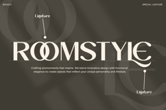 Bovacy - Modern Elegant Serif Product Image 14