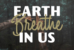 Fairforest Product Image 17