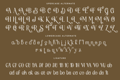 Fradesty - Luxury Serif Font Product Image 12