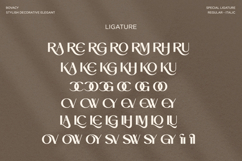 Bovacy - Modern Elegant Serif Product Image 15