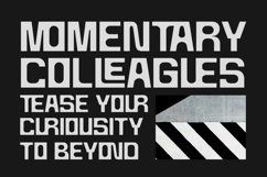 Nerlios - Stylish Ligature Font Product Image 2