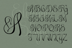 Abellona Script Product Image 2