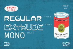 Noods Soup | Retro Vintage Typeface Product Image 2