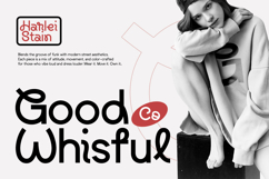 Raizent - Experimental Sans Font Product Image 2