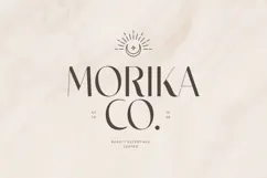 Chicago - Classy Luxury Logo Font Product Image 2