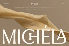 Flavour - Modern Luxury Sans Serif Product Image 2