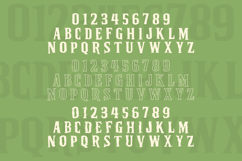 Motelian Font - Display Serif Product Image 2