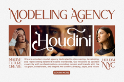 Seglade - Modern Elegant Font Product Image 2