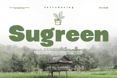 Sugreen Organic Display Font Product Image 1