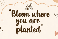 Sweet Daisy Product Image 4