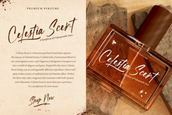 Streaklines - Dry Brush Script Font Product Image 2