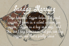 Alligony Retro Script Product Image 2