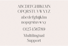 Amonelle Serif Product Image 8
