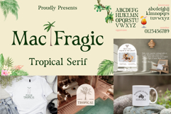 The Ultimate Premium Font Bundle 220 Fonts Product Image 3