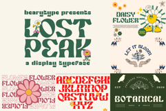 The Ultimate Premium Font Bundle 220 Fonts Product Image 13