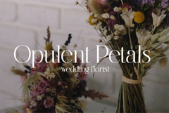 Amonelle Serif Product Image 4