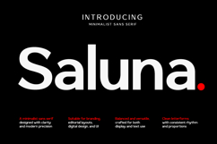 Saluna - Minimalist Sans Serif Product Image 1