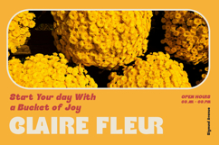 Belfras - Bold Chunky Sans Font Product Image 2