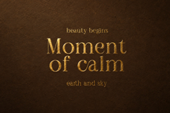 Qogua - Stylish Elegant Serif Font Product Image 2