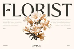 Badge - Modern Luxury Font Family Product Image 2