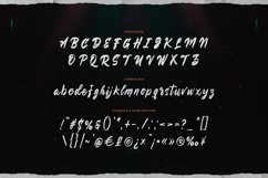 Rookyster - A Hand Brush Script Product Image 3