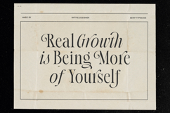 Native Designer - Delicate Serif Product Image 3