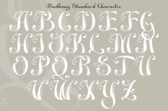 Badhong Classic Script Product Image 3