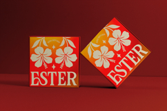 Majorna - Stylish Elegant Serif Product Image 3