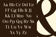Qogua - Stylish Elegant Serif Font Product Image 3