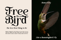 Kinder Land - Elegant Serif Font Product Image 3