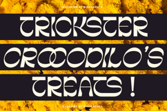 Bulkside - Display Sans Font Product Image 3